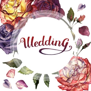 Kır çiçeği gül çiçek çerçeve izole bir suluboya tarzında.