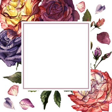 Kır çiçeği gül çiçek çerçeve izole bir suluboya tarzında.