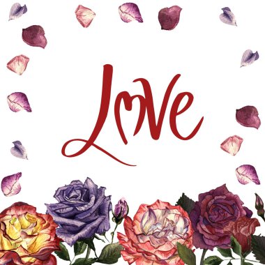 Kır çiçeği gül çiçek çerçeve izole bir suluboya tarzında.