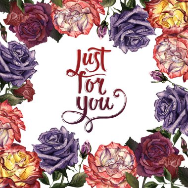 Kır çiçeği gül çiçek çerçeve izole bir suluboya tarzında.