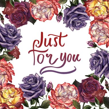 Kır çiçeği gül çiçek çerçeve izole bir suluboya tarzında.