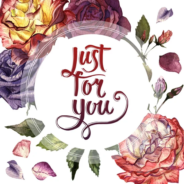 Kır çiçeği gül çiçek çerçeve izole bir suluboya tarzında.