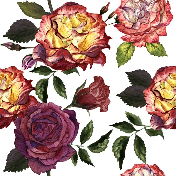 Цветок полевой розы узор в акварельном стиле изолированы . — стоковое фото