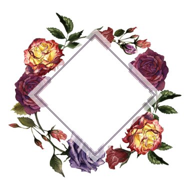 Kır çiçeği gül çiçek çerçeve izole bir suluboya tarzında.