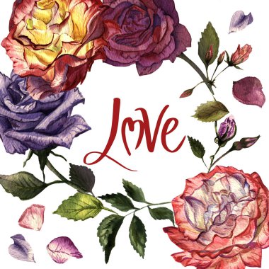 Kır çiçeği gül çiçek çerçeve izole bir suluboya tarzında.