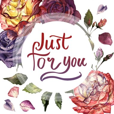 Kır çiçeği gül çiçek çerçeve izole bir suluboya tarzında.