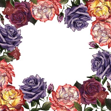 Kır çiçeği gül çiçek çerçeve izole bir suluboya tarzında.