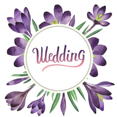 Kır çiçeği çiğdemler çiçek çerçeve izole bir suluboya tarzında.