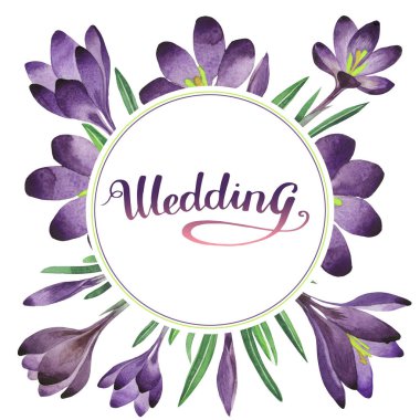 Kır çiçeği çiğdemler çiçek çerçeve izole bir suluboya tarzında.