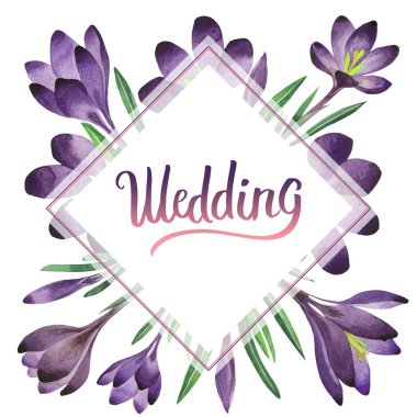 Kır çiçeği çiğdemler çiçek çerçeve izole bir suluboya tarzında.