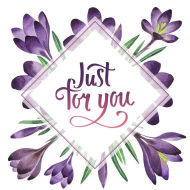 Kır çiçeği çiğdemler çiçek çerçeve izole bir suluboya tarzında.