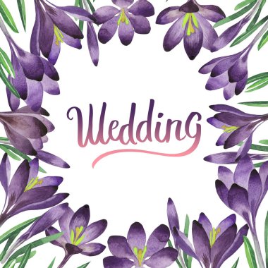 Kır çiçeği çiğdemler çiçek çerçeve izole bir suluboya tarzında.