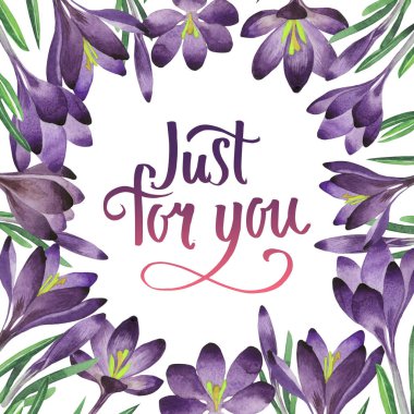 Kır çiçeği çiğdemler çiçek çerçeve izole bir suluboya tarzında.