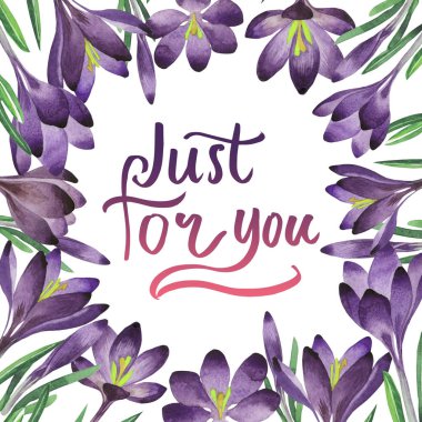 Kır çiçeği çiğdemler çiçek çerçeve izole bir suluboya tarzında.