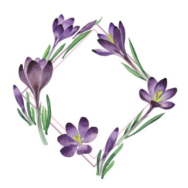 Kır çiçeği çiğdemler çiçek çerçeve izole bir suluboya tarzında.