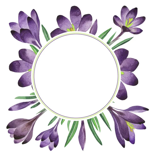 Kır çiçeği çiğdemler çiçek çerçeve izole bir suluboya tarzında.