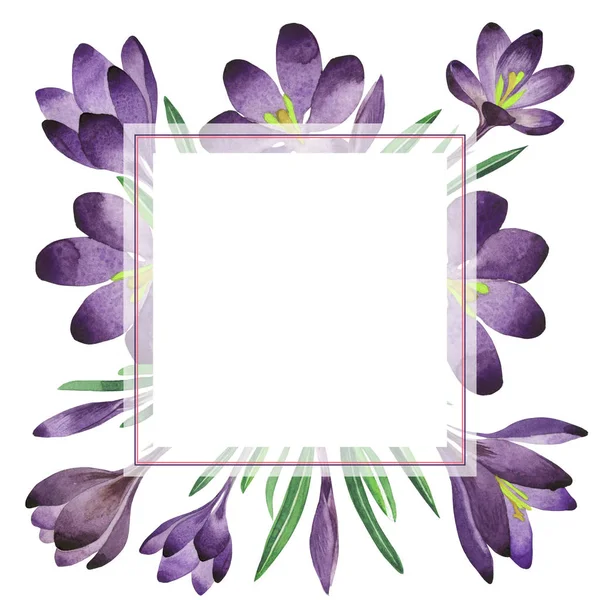 Kır çiçeği çiğdemler çiçek çerçeve izole bir suluboya tarzında.