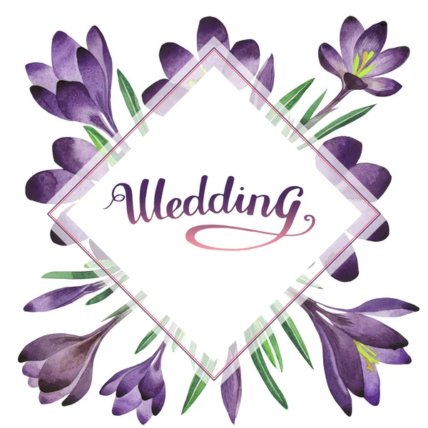 Kır çiçeği çiğdemler çiçek çerçeve izole bir suluboya tarzında.