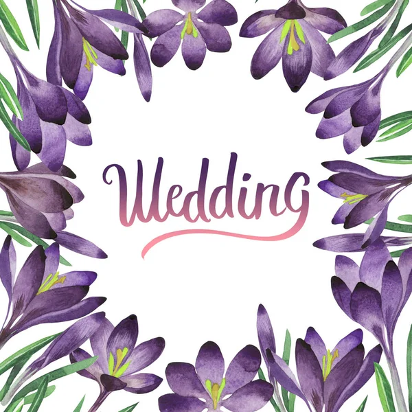 Kır çiçeği çiğdemler çiçek çerçeve izole bir suluboya tarzında.