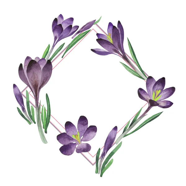 Kır çiçeği çiğdemler çiçek çerçeve izole bir suluboya tarzında.