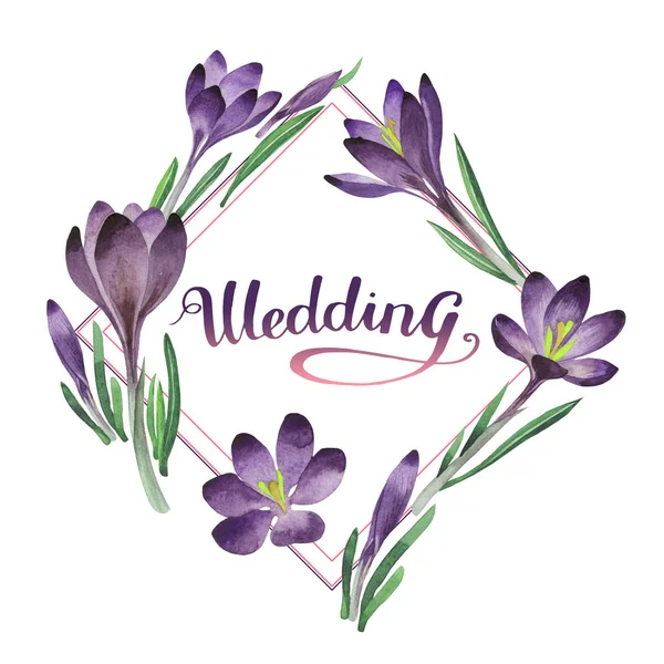 Wildflower crocuses flower frame in a watercolor style isolated. — Stock Photo, Image