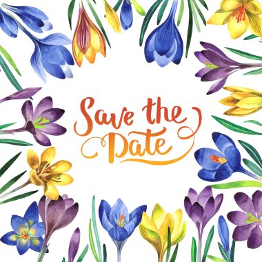 Kır çiçeği çiğdemler çiçek çerçeve izole bir suluboya tarzında.