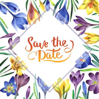 Kır çiçeği çiğdemler çiçek çerçeve izole bir suluboya tarzında.