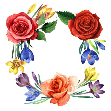 Kır çiçeği çiğdemler çiçek çerçeve izole bir suluboya tarzında.