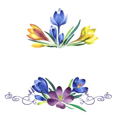 Kır çiçeği çiğdemler çiçek çerçeve izole bir suluboya tarzında.