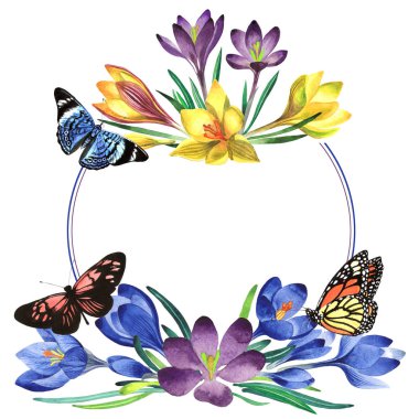 Kır çiçeği çiğdemler çiçek çerçeve izole bir suluboya tarzında.