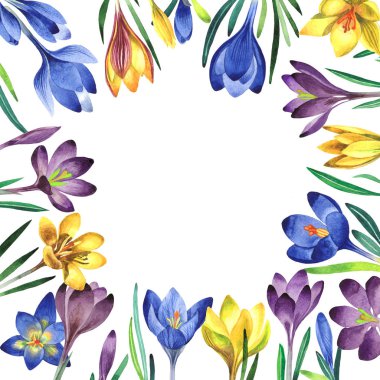 Kır çiçeği çiğdemler çiçek çerçeve izole bir suluboya tarzında.