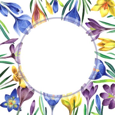 Kır çiçeği çiğdemler çiçek çerçeve izole bir suluboya tarzında.