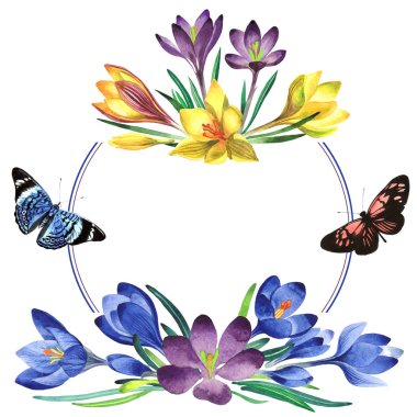 Kır çiçeği çiğdemler çiçek çerçeve izole bir suluboya tarzında.