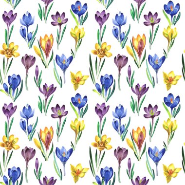 Kır çiçeği çiğdemler çiçek deseni izole bir suluboya tarzında.