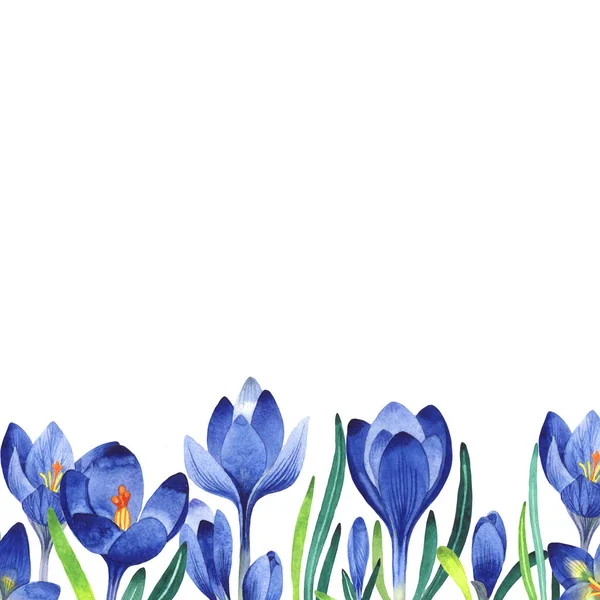 Kır çiçeği çiğdemler çiçek çerçeve izole bir suluboya tarzında.