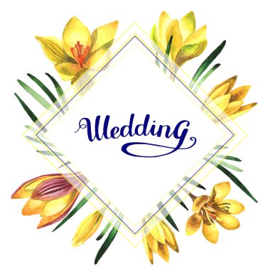 Kır çiçeği çiğdemler çiçek çerçeve izole bir suluboya tarzında.