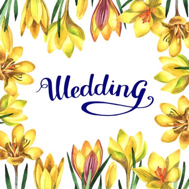 Kır çiçeği çiğdemler çiçek çerçeve izole bir suluboya tarzında.