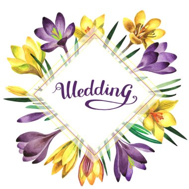 Kır çiçeği çiğdemler çiçek çerçeve izole bir suluboya tarzında.