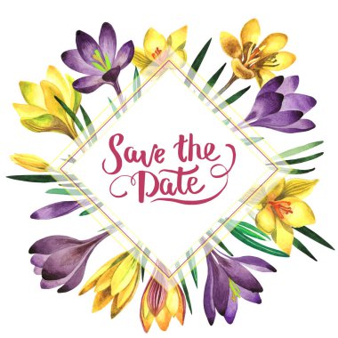 Kır çiçeği çiğdemler çiçek çerçeve izole bir suluboya tarzında.