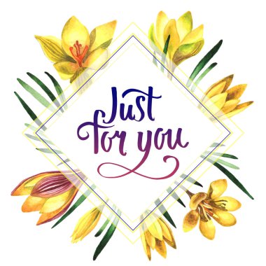 Kır çiçeği çiğdemler çiçek çerçeve izole bir suluboya tarzında.