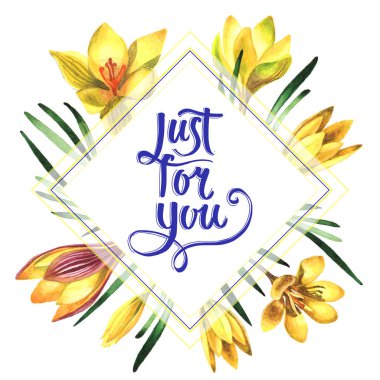 Kır çiçeği çiğdemler çiçek çerçeve izole bir suluboya tarzında.