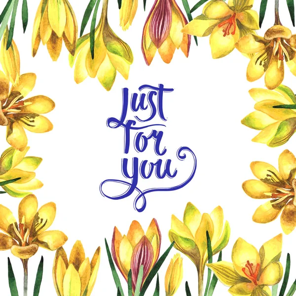 Wildflower krokusy květinový rámeček ve stylu akvarelu, samostatný. — Stock fotografie