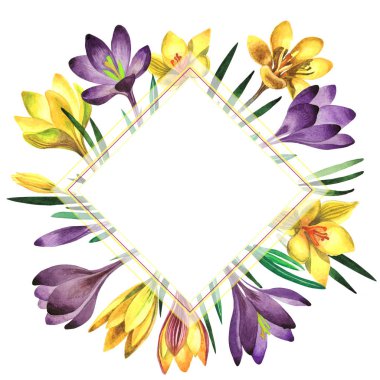 Kır çiçeği çiğdemler çiçek çerçeve izole bir suluboya tarzında.