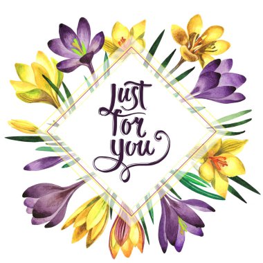 Kır çiçeği çiğdemler çiçek çerçeve izole bir suluboya tarzında.