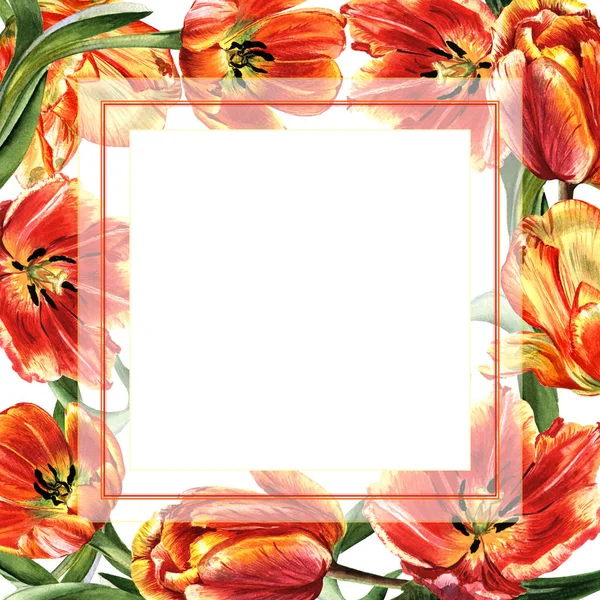 Цветочная рамка из цветка в акварельном стиле изолирована . — стоковое фото