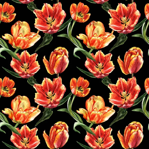 Wildflower tulip flower pattern in a watercolor style isolated.
