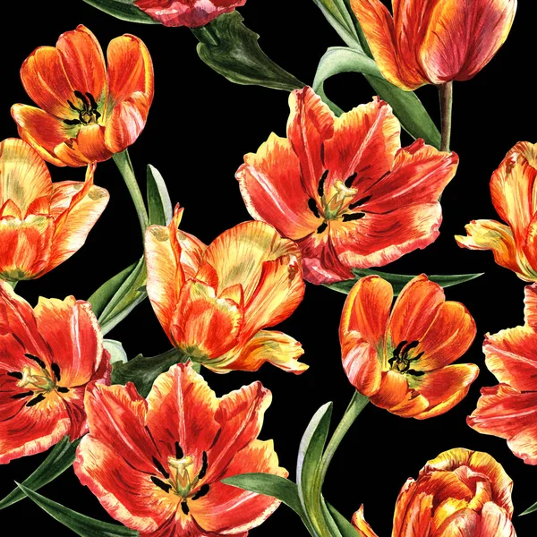 Wildflower tulip blommönster i akvarell stil isolerade. — Stockfoto