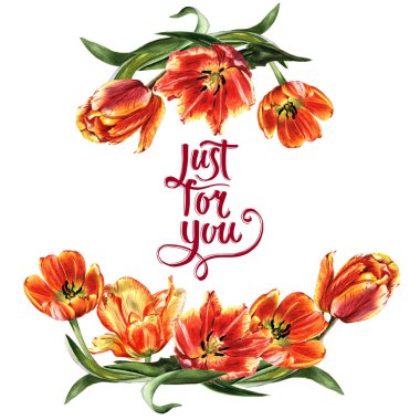 Kır çiçeği Lale çiçek çerçeve izole bir suluboya tarzında.