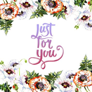 Kır çiçeği haşhaş çiçek çerçeve izole bir suluboya tarzında.