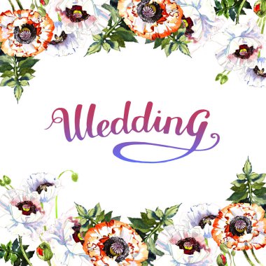 Kır çiçeği haşhaş çiçek çerçeve izole bir suluboya tarzında.